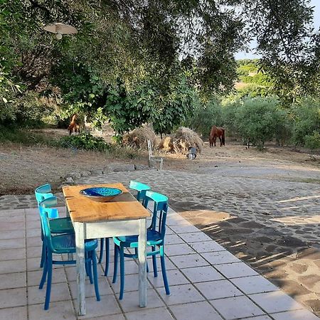 Bed and Breakfast Sa Ruscitta Сант'Антьоко Екстер'єр фото
