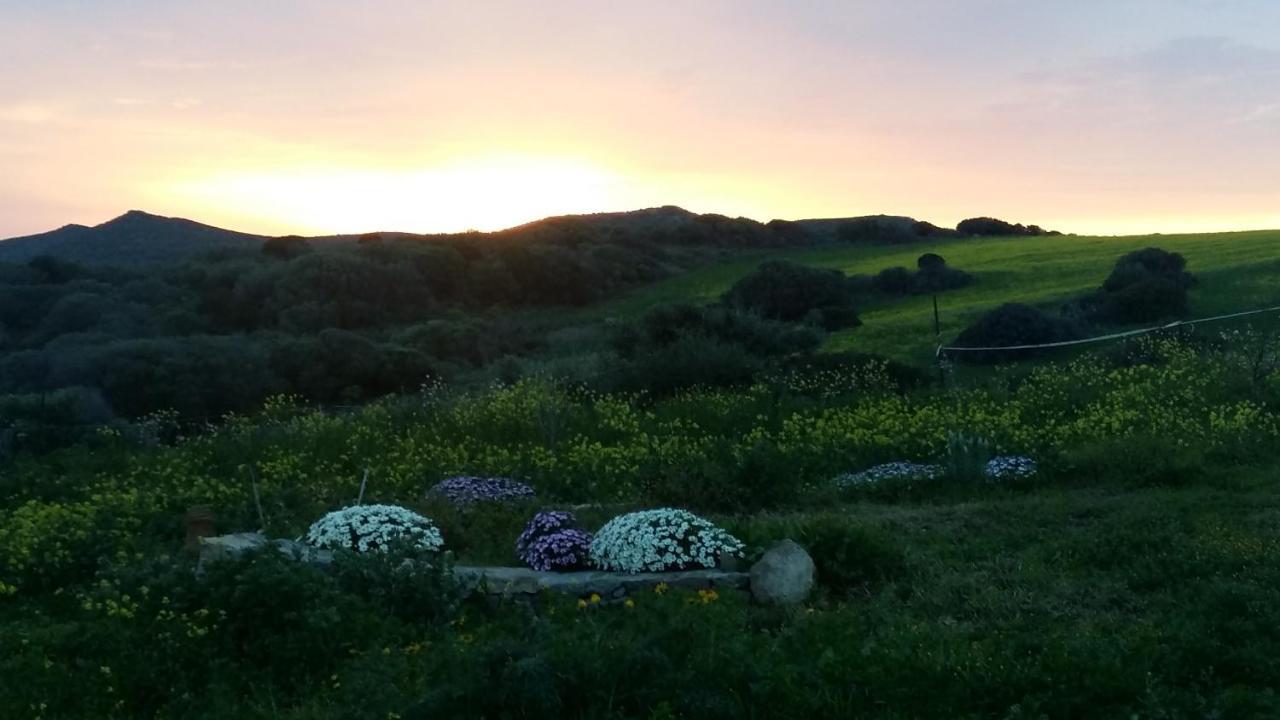 Bed and Breakfast Sa Ruscitta Сант'Антьоко Екстер'єр фото